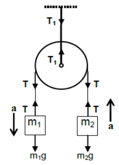 CBSE-Class-11-Physics-Newtons-Laws-Of-Motion-Notes-Set-E-34
