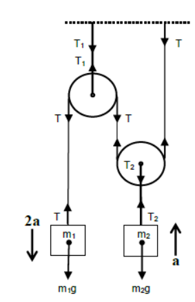 CBSE-Class-11-Physics-Newtons-Laws-Of-Motion-Notes-Set-E-38