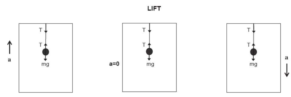 CBSE-Class-11-Physics-Newtons-Laws-Of-Motion-Notes-Set-E-54