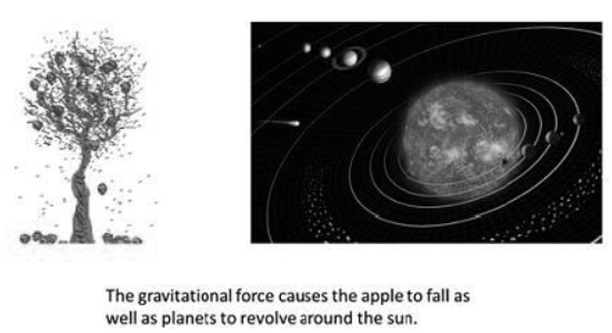 CBSE-Class-11-Physics-Physical-World-And-Measurement-Notes-Set-B-1