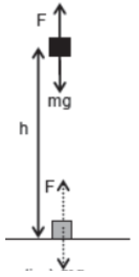 CBSE-Class-11-Physics-Work-Energy-And-Power-Notes-Set-B-22