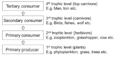 CBSE-Class-12-Biology-Ecosystem-Notes-Set-B-1