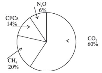 CBSE-Class-12-Biology-Environmental-Issues-Notes-Set-B-2