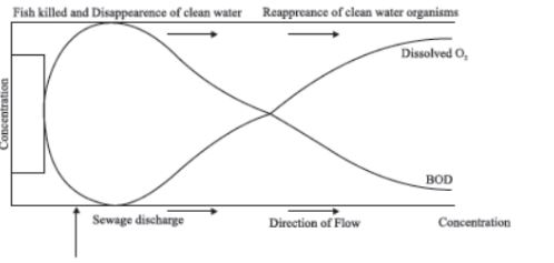 CBSE Class 12 Biology Environmental Issues Notes Set B