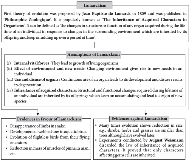 CBSE-Class-12-Biology-Evolution-Notes-Set-B-1