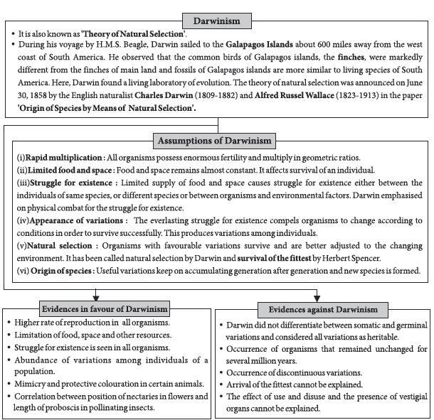 CBSE-Class-12-Biology-Evolution-Notes-Set-B-2