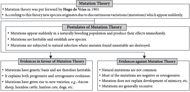 CBSE-Class-12-Biology-Evolution-Notes-Set-B-3
