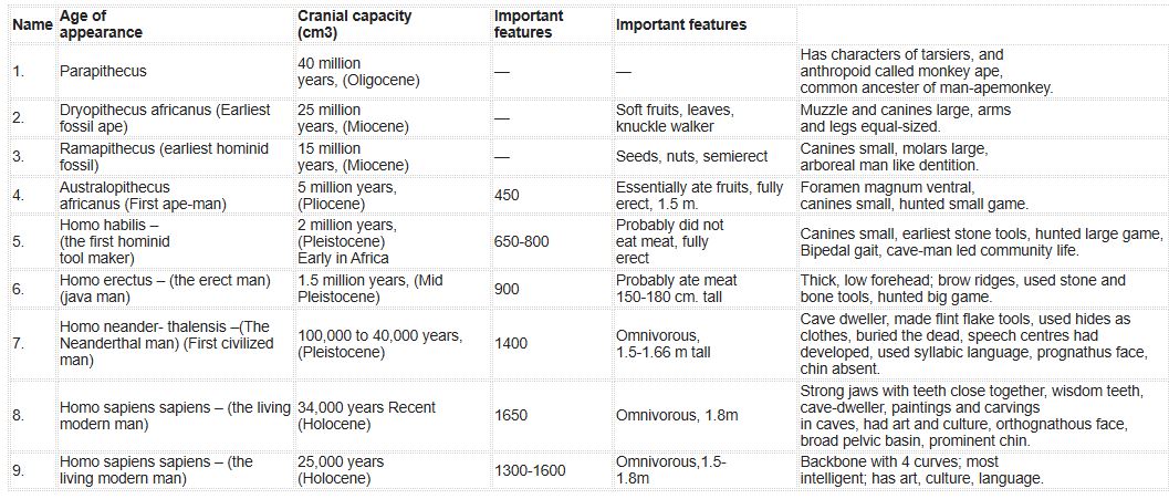 CBSE-Class-12-Biology-Evolution-Notes-Set-B