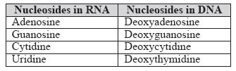 CBSE-Class-12-Biology-Molecular-Basis-Of-Inheritance-Notes-Set-B