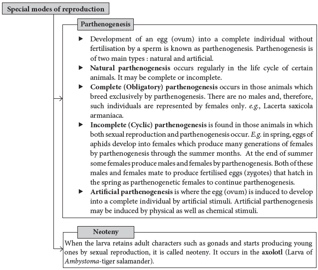 CBSE-Class-12-Biology-Reproduction-In-Organisms-Notes-Set-B-2