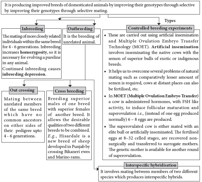 CBSE-Class-12-Biology-Strategies-For-Enhancement-In-Food-Production-Notes-Set-B-1