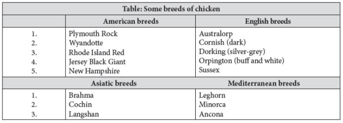 CBSE-Class-12-Biology-Strategies-For-Enhancement-In-Food-Production-Notes-Set-B-5