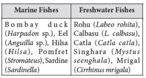 CBSE-Class-12-Biology-Strategies-For-Enhancement-In-Food-Production-Notes-Set-B-6
