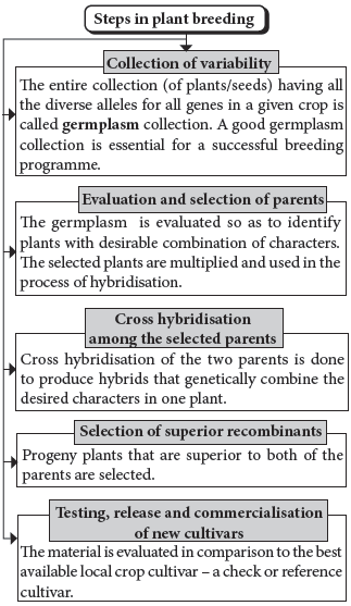 CBSE-Class-12-Biology-Strategies-For-Enhancement-In-Food-Production-Notes-Set-B-7