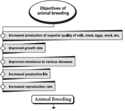 CBSE Class 12 Biology Strategies For Enhancement In Food Production Notes Set B