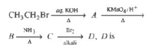 CBSE-Class-12-Chemistry-Amines-MCQs-Set-B-1