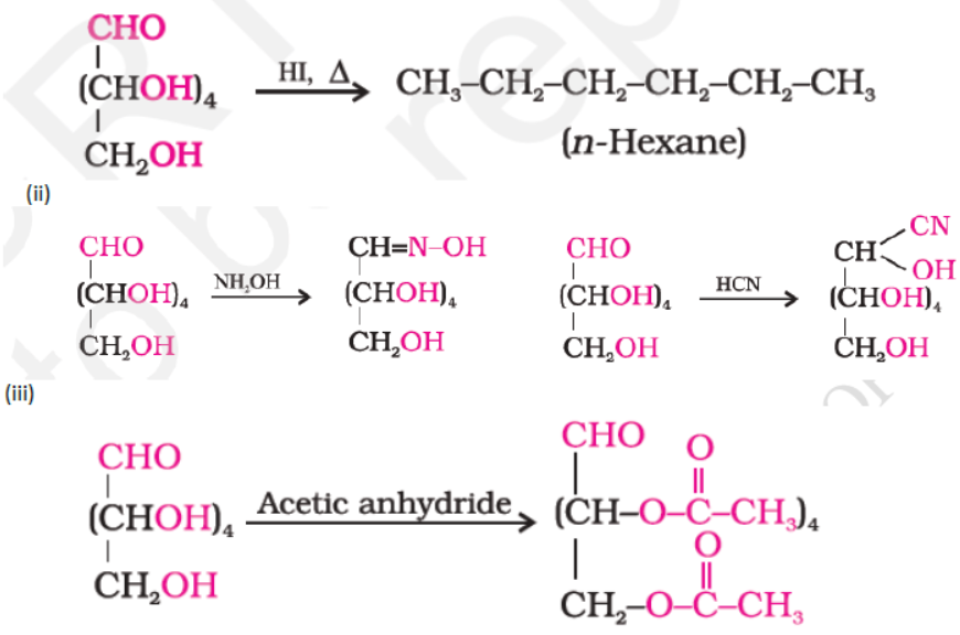 CBSE-Class-12-Chemistry-Biomolecules-Worksheet-Set-01-1