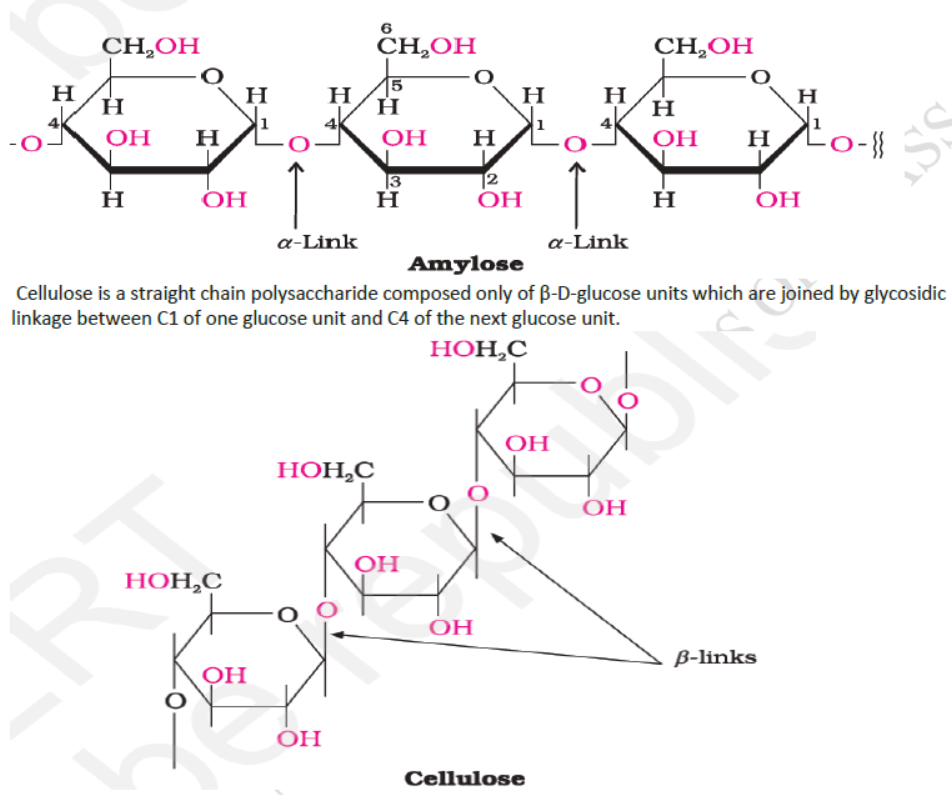 CBSE-Class-12-Chemistry-Biomolecules-Worksheet-Set-01-2