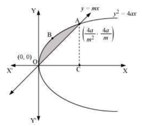 CBSE-Class-12-Mathematics-Application-Of-Integrals-Worksheet-Set-05-2