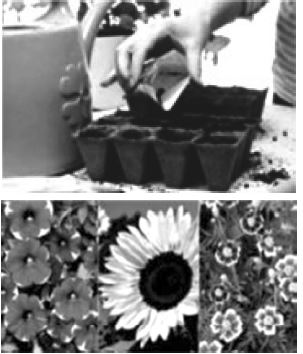 CBSE-Class-12-Mathematics-Probability-Assignment-Set-A