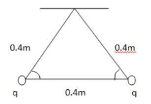 CBSE-Class-12-Physics-Electric-Charges-And-Fields-Worksheet-Set-03-13