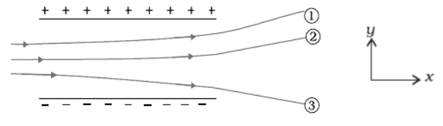 CBSE-Class-12-Physics-Electric-Charges-And-Fields-Worksheet-Set-03-4