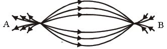 CBSE-Class-12-Physics-Electric-Charges-and-Fields-MCQs-Srt-B-2