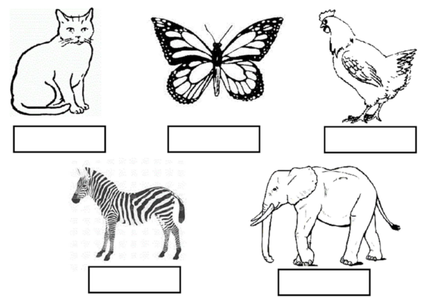 CBSE-Class-3-EVS-Poonams-Day-Out-Worksheet-Set-01