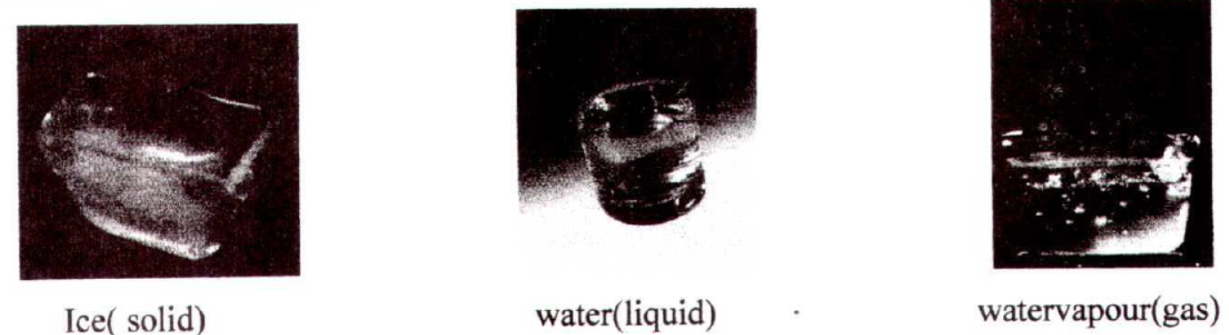 CBSE-Class-3-EVS-Water-Worksheet-Set-04