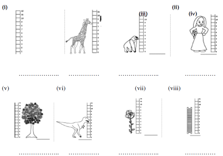 CBSE-Class-3-Mathematics-Revision-Worksheet-Set-25-4