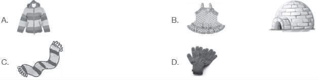 CBSE-Class-3-Science-Practice-MCQs-Set-B-10
