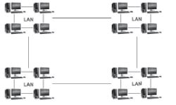CBSE-Class-4-Computer-Studies-Computer-Network-MCQs-3