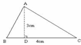 CBSE-Class-7-Mathematics-Perimeter-And-Area-Worksheet-Set-03-3