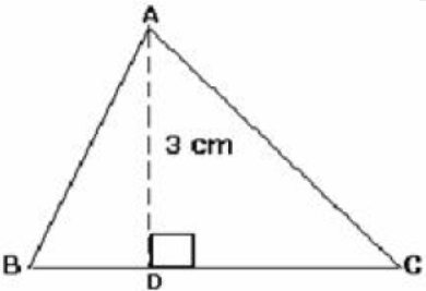 CBSE-Class-7-Mathematics-Perimeter-And-Area-Worksheet-Set-03-5