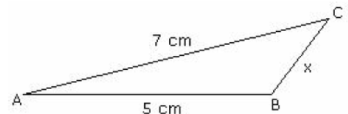 CBSE-Class-7-Mathematics-Practical-Geometry-Worksheet-17