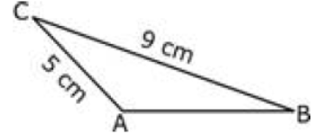 CBSE-Class-7-Mathematics-Triangle-And-Its-Properties-Worksheet-Set-04-13