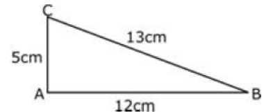 CBSE-Class-7-Mathematics-Triangle-And-Its-Properties-Worksheet-Set-04-5