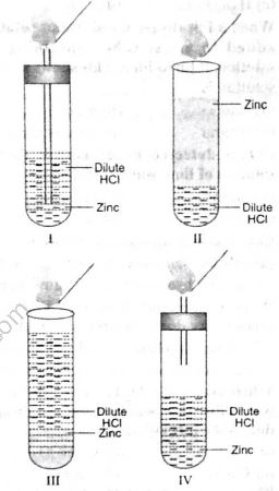 CBSE-Class-9-Science-HOTs-1