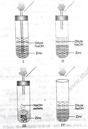CBSE-Class-9-Science-HOTs