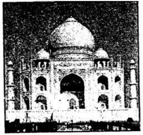 Focus-On-Solutions-for-ICSE-Class-9-History-Civics-Chapter-10-The-Mughal-Empire
