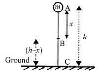 Goyal-Brothers-Solutions-for-ICSE-Class-10-Physics-Chapter-2-Work-Power-And-Energy-20