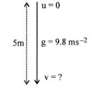 Goyal-Brothers-Solutions-for-ICSE-Class-10-Physics-Chapter-2-Work-Power-And-Energy-5