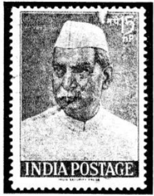 Goyal-Brothers-Solutions-for-ICSE-Class-7-History-Civics-Chapter-11-The-Constitution-Of-India
