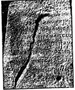 Goyal-Brothers-Solutions-for-ICSE-Class-9-History-Civics-Chapter-5-The-Mauryan-Empire-1