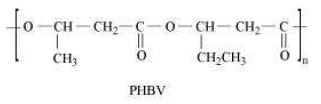 NCERT-Solutions-Class-12-Chemistry-Chapter-15-Polymers-1