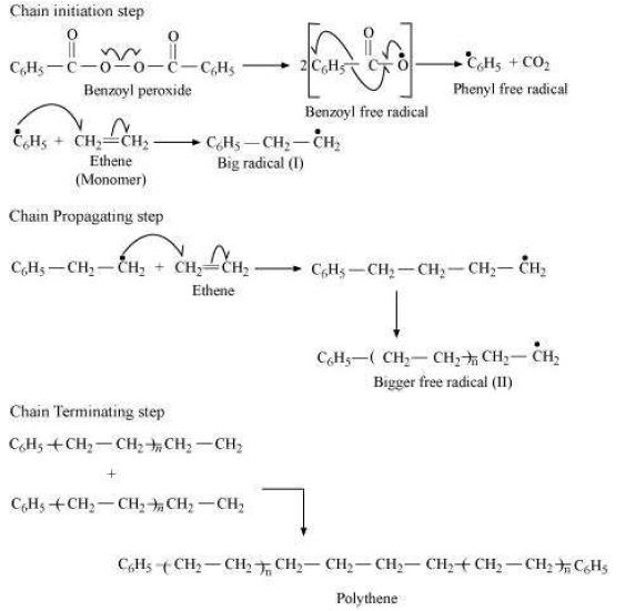 NCERT-Solutions-Class-12-Chemistry-Chapter-15-Polymers-6