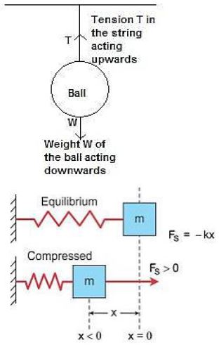 Selina-Concise-Solutions-for-ICSE-Class-10-Physics-Chapter-1-Force-19