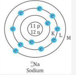 Selina-Concise-Solutions-for-ICSE-Class-10-Physics-Chapter-12-Radioactivity-3