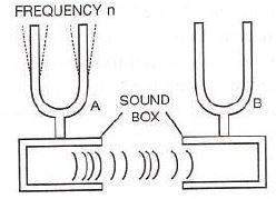 Selina-Concise-Solutions-for-ICSE-Class-10-Physics-Chapter-7-Sound-10