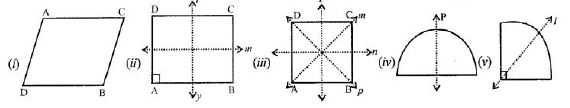 Selina-Concise-Solutions-for-ICSE-Class-6-Mathematics-Chapter-30-Revision-Exercise-Symmetry-1